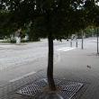 Ani nev�m